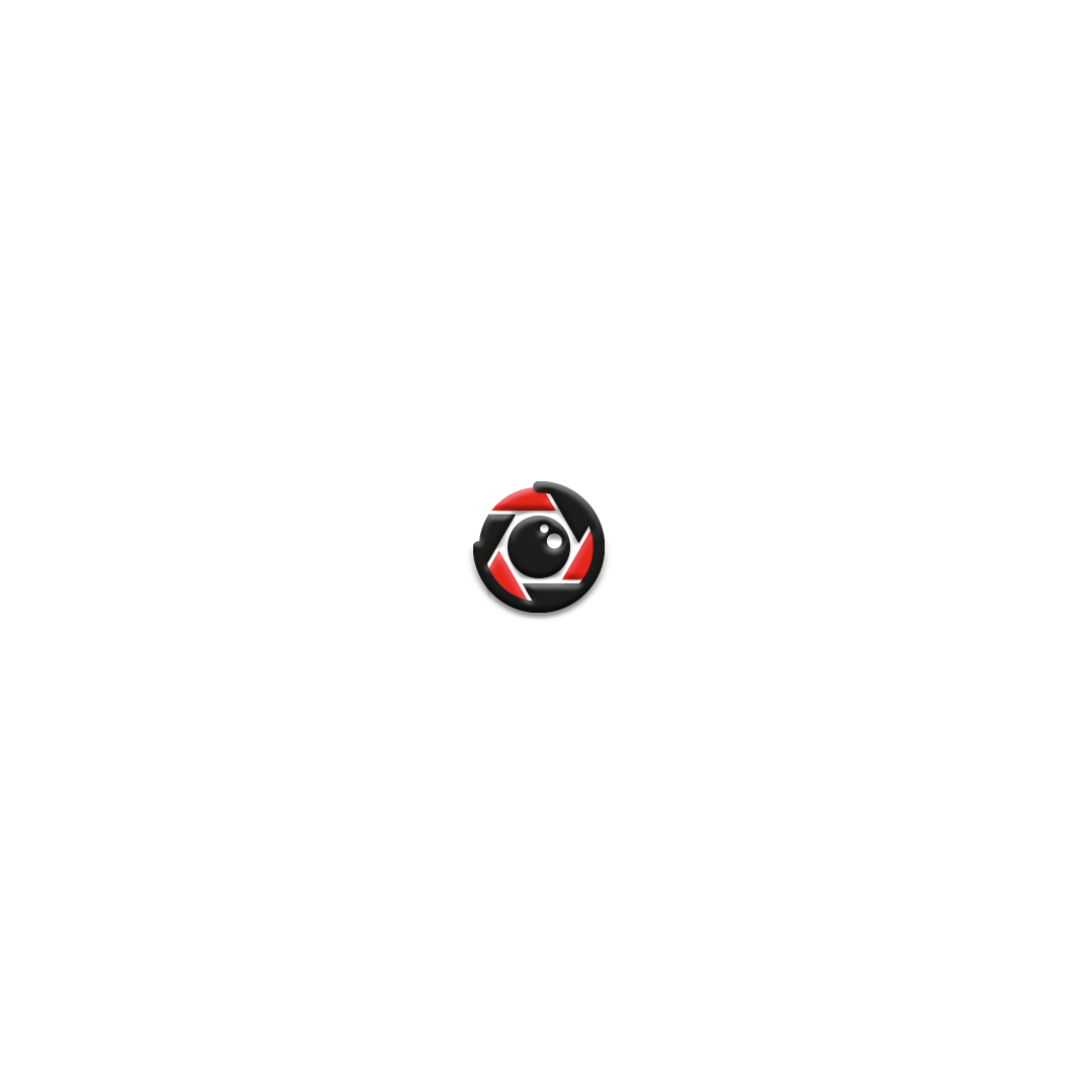 Camera Icon